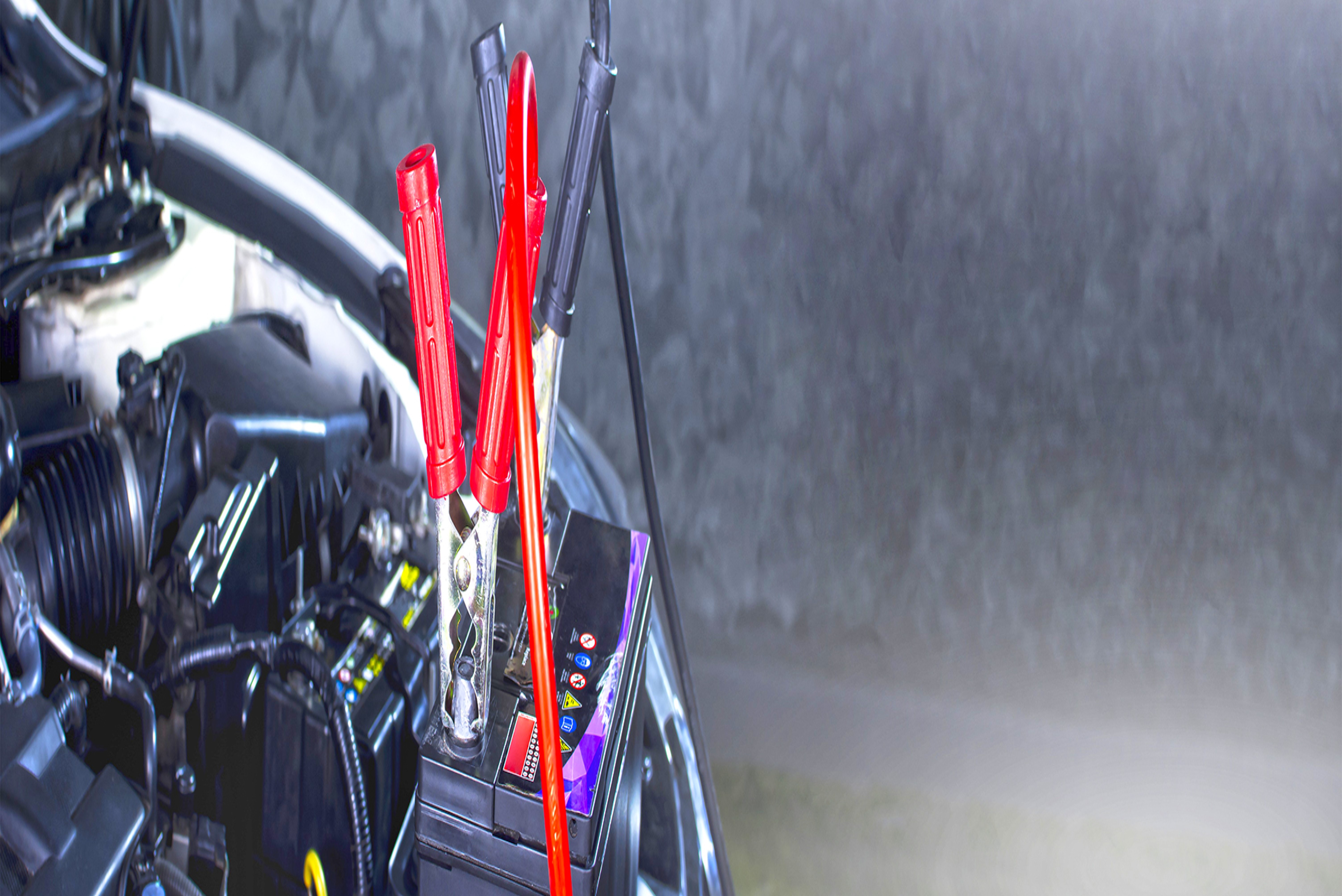 Service Detail Image